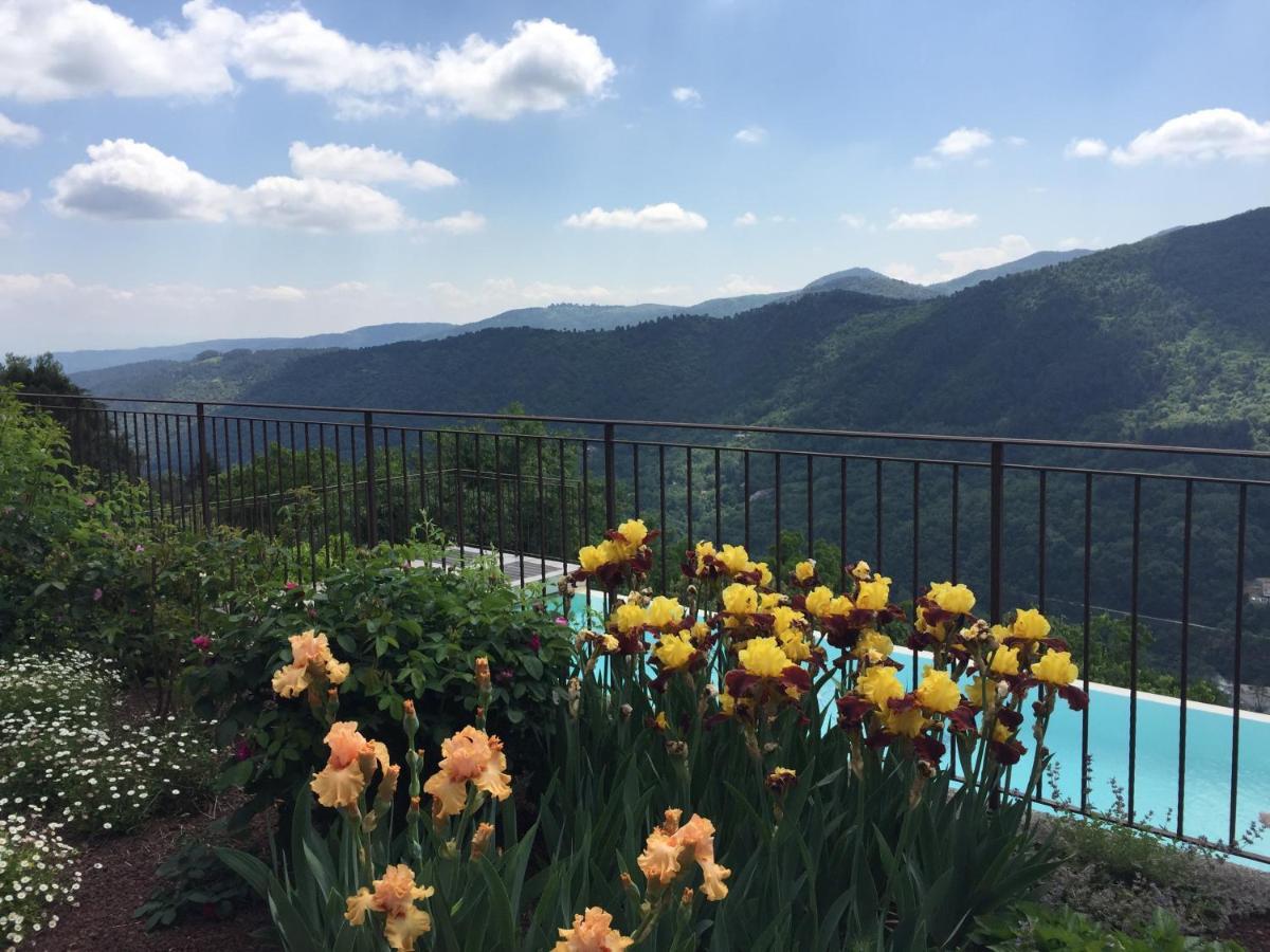Bed and Breakfast Bellevue Saint-Paterne-Racan Экстерьер фото
