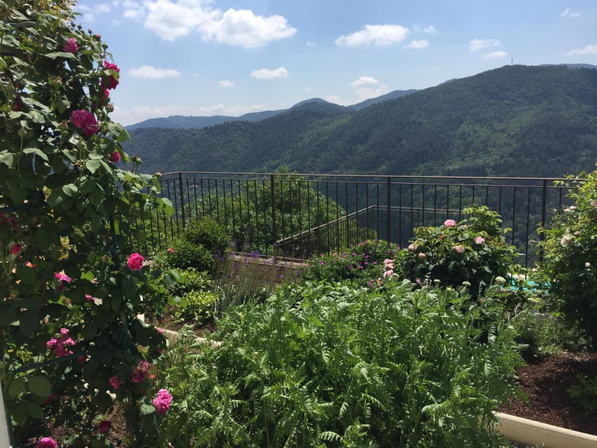 Bed and Breakfast Bellevue Saint-Paterne-Racan Экстерьер фото